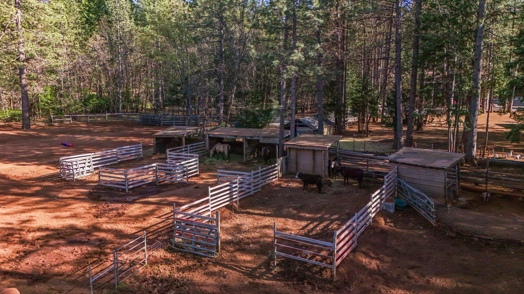 30726 Shingletown Ridge Road Shingletown, CA 96088 - Photo 72 of 84 74-web-or-mls-DJI_20250423171351_0231_D