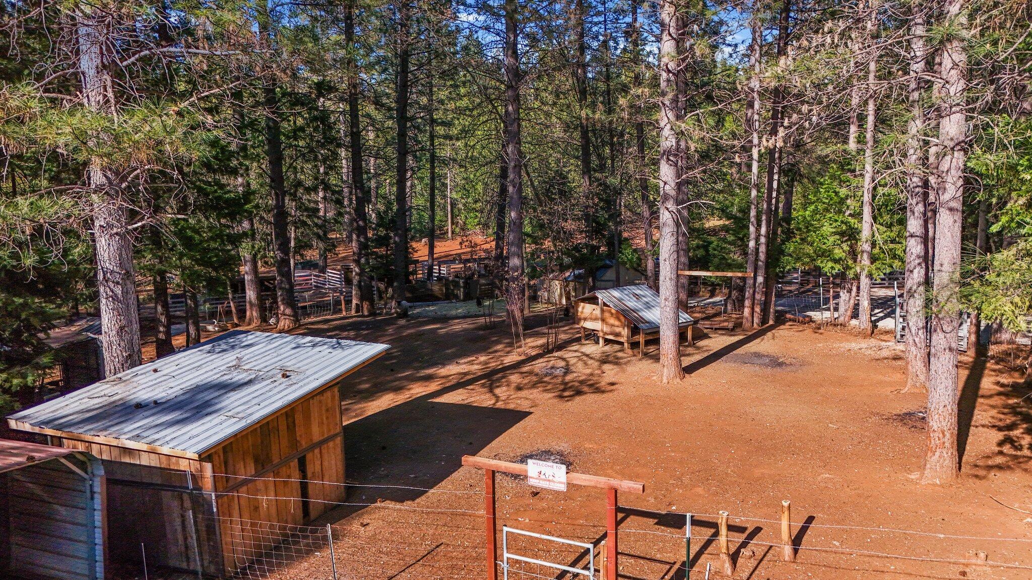 30726 Shingletown Ridge Road Shingletown, CA 96088 - Photo 76 of 84 92-web-or-mls-DJI_20250423172207_0277_D