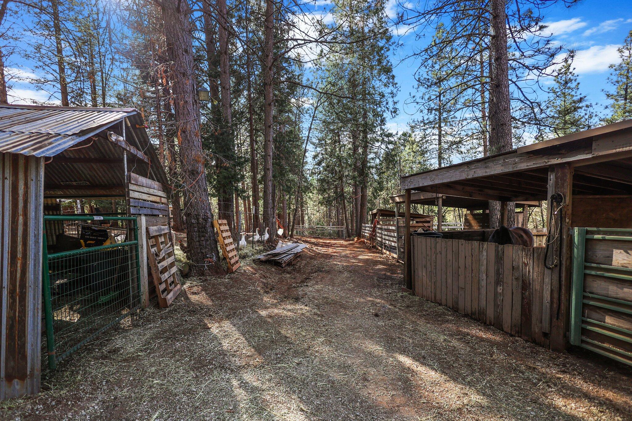 30726 Shingletown Ridge Road Shingletown, CA 96088 - Photo 78 of 84 a view of a car park in front of a house