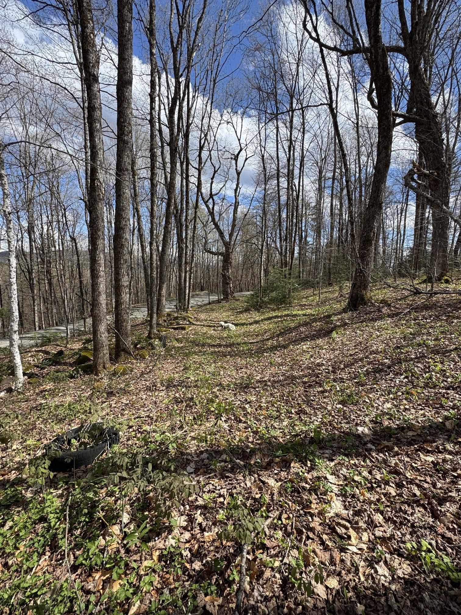 316 Last Road Cabot, VT 05647 - Photo 22 of 26