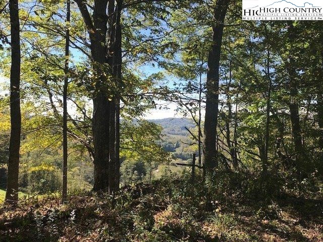 West Peak Road Creston, NC 28615 - Photo 5 of 15 Gallery Image 5