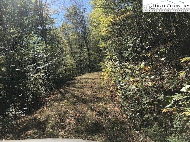 West Peak Road Creston, NC 28615 - Photo 8 of 15 Gallery Image 8