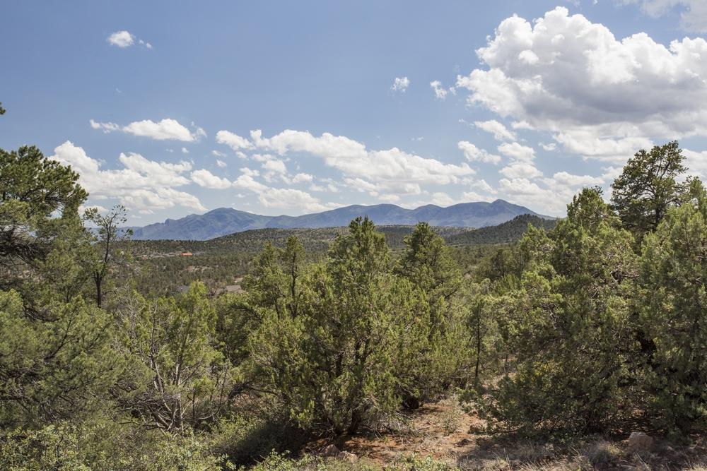 1200 West Airport Road Payson, AZ 85541 - Photo 4 of 50