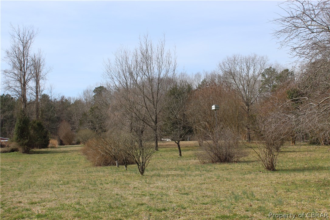 0 Lees Neck Farm Road Saluda, VA 23149 - Photo 4 of 7