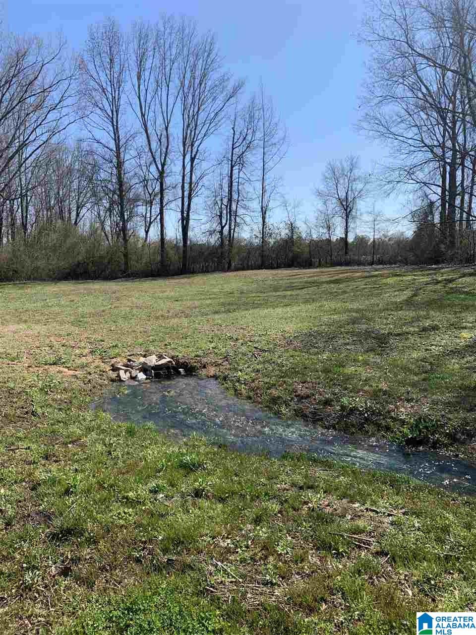 16058 Highway 11 Springville, AL 35146 - Photo 8 of 36