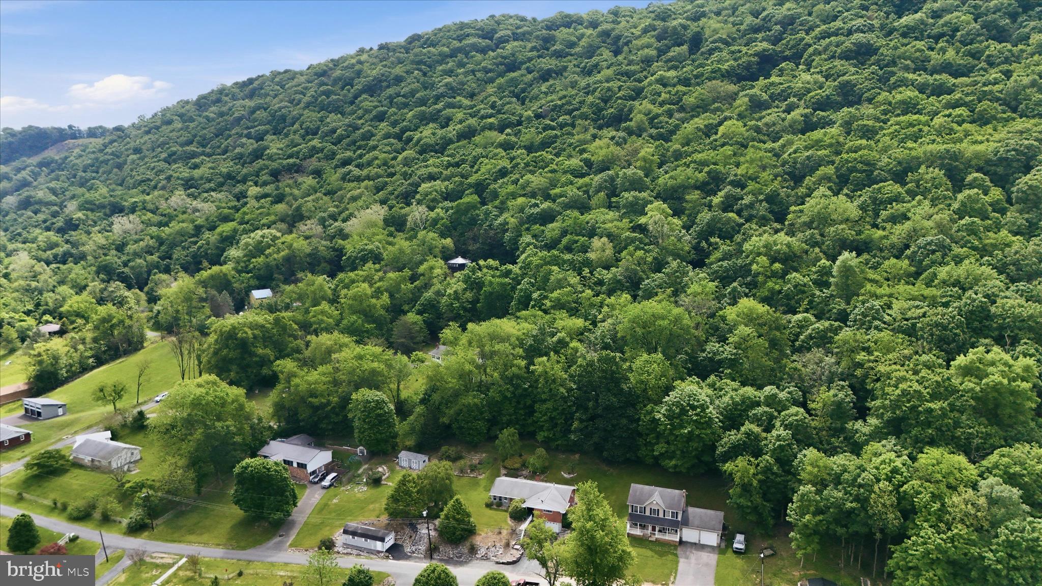 199 Buser Street Ridgeley, WV 26753 - Photo 45 of 49 a view of a garden with plants