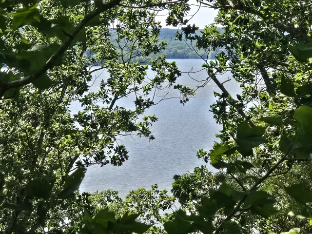 an aerial view of a house with a yard and garden