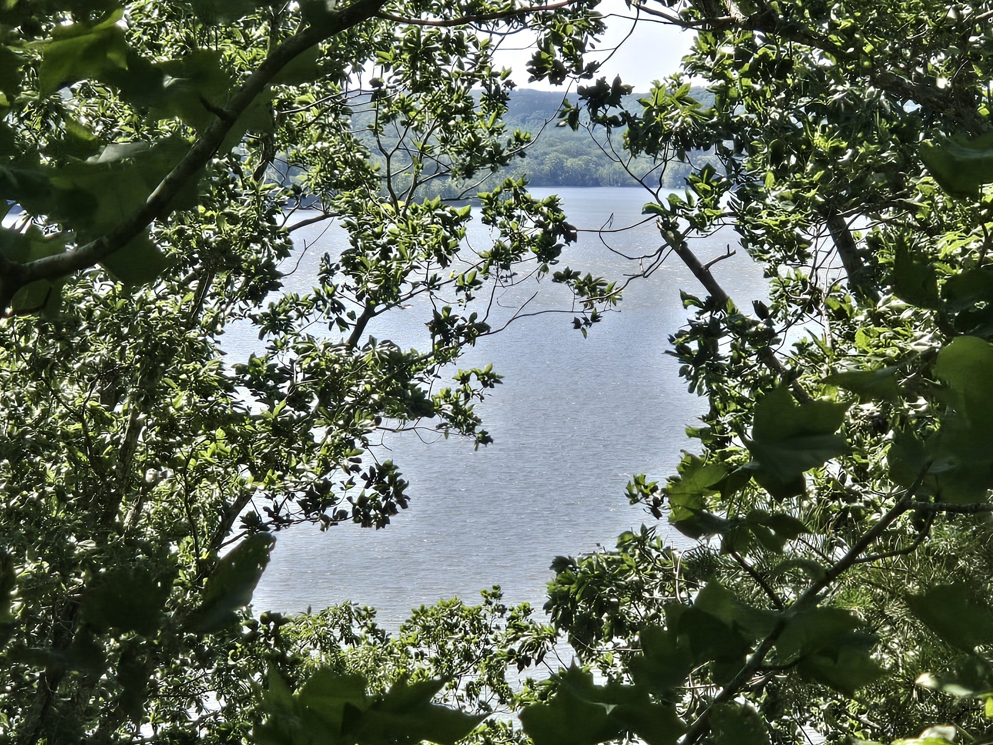 an aerial view of a house with a yard and garden