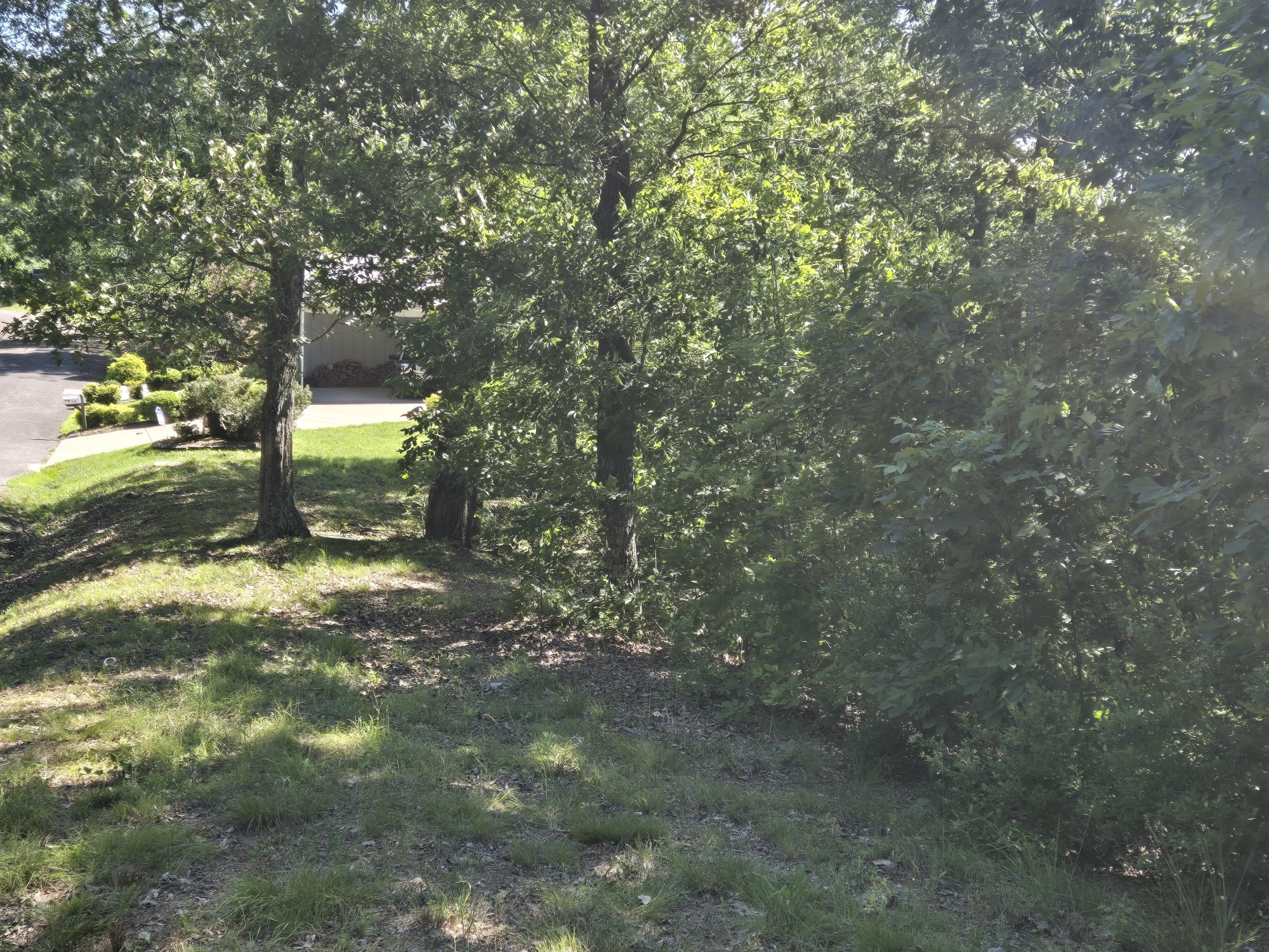 0 Sunset Ridge Waverly, TN 37185 - Photo 2 of 9 a view of a tree in a yard