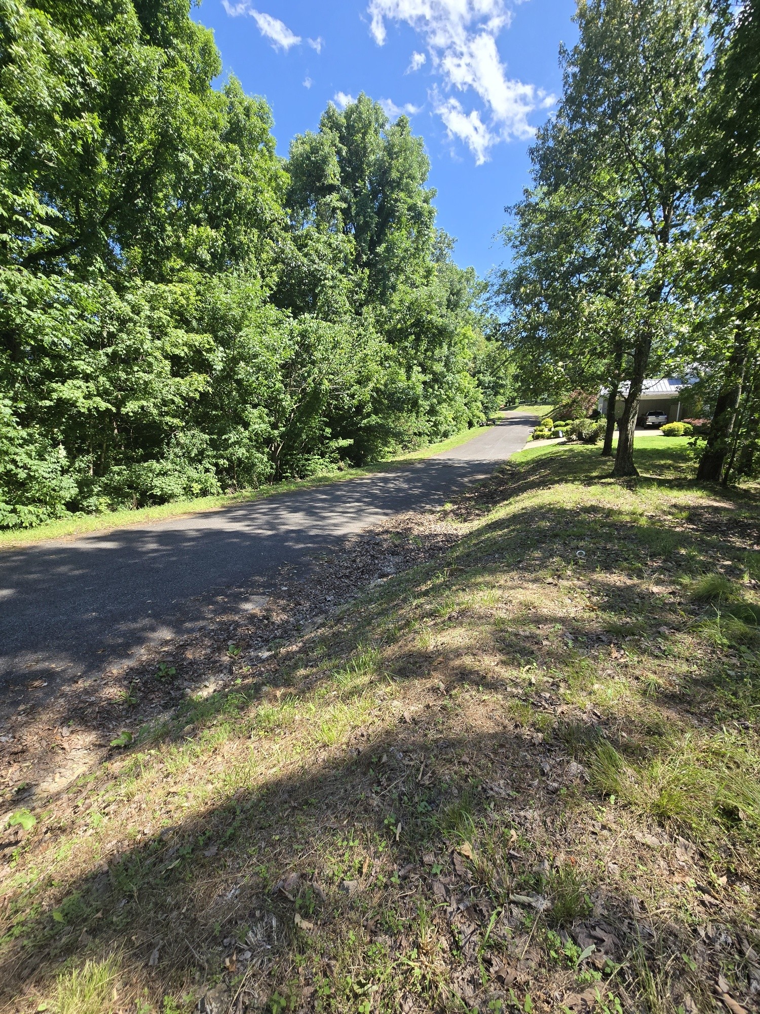 0 Sunset Ridge Waverly, TN 37185 - Photo 4 of 9 a view of a yard with a tree