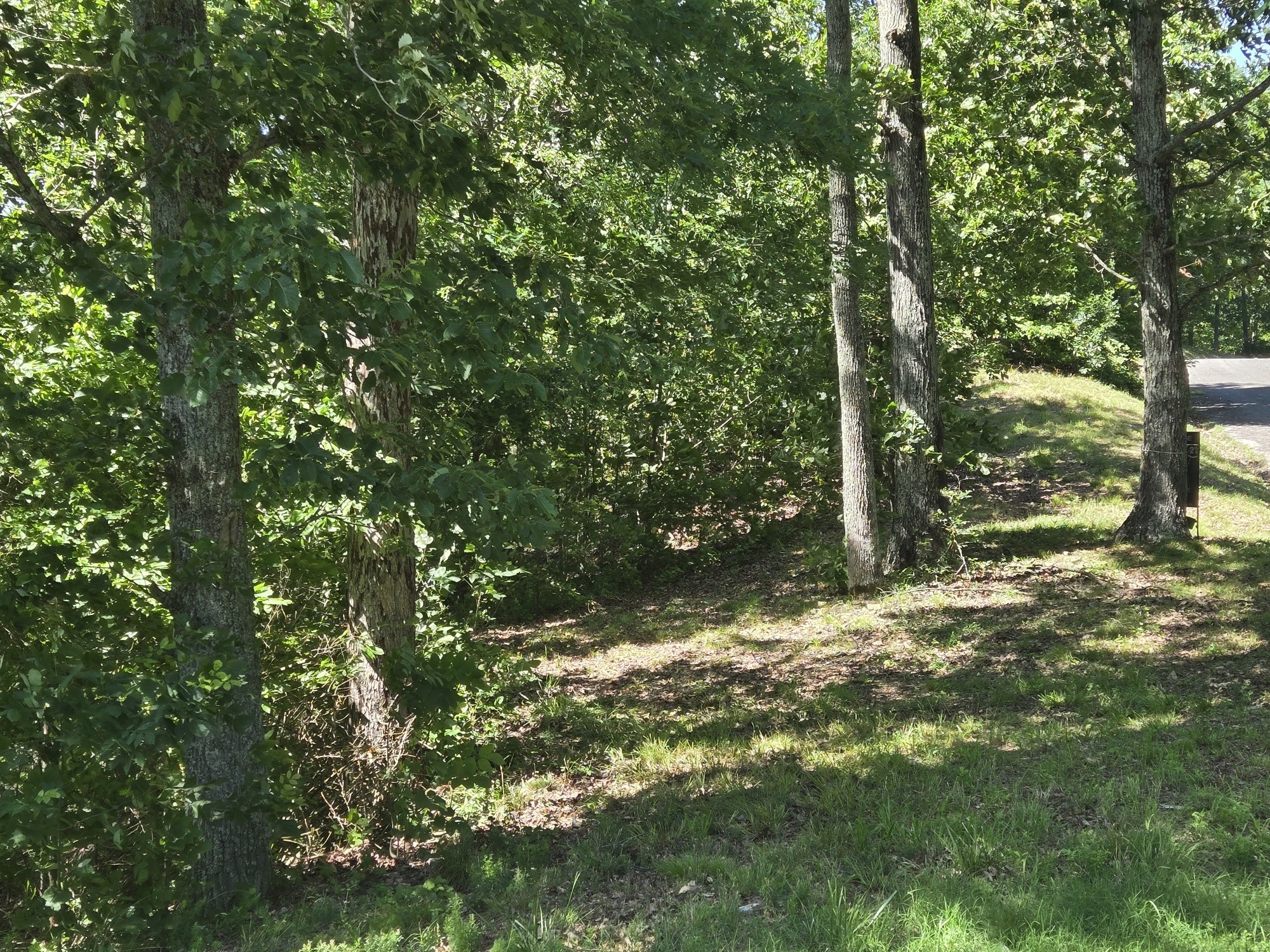 0 Sunset Ridge Waverly, TN 37185 - Photo 6 of 9 a view of a tree with a tree
