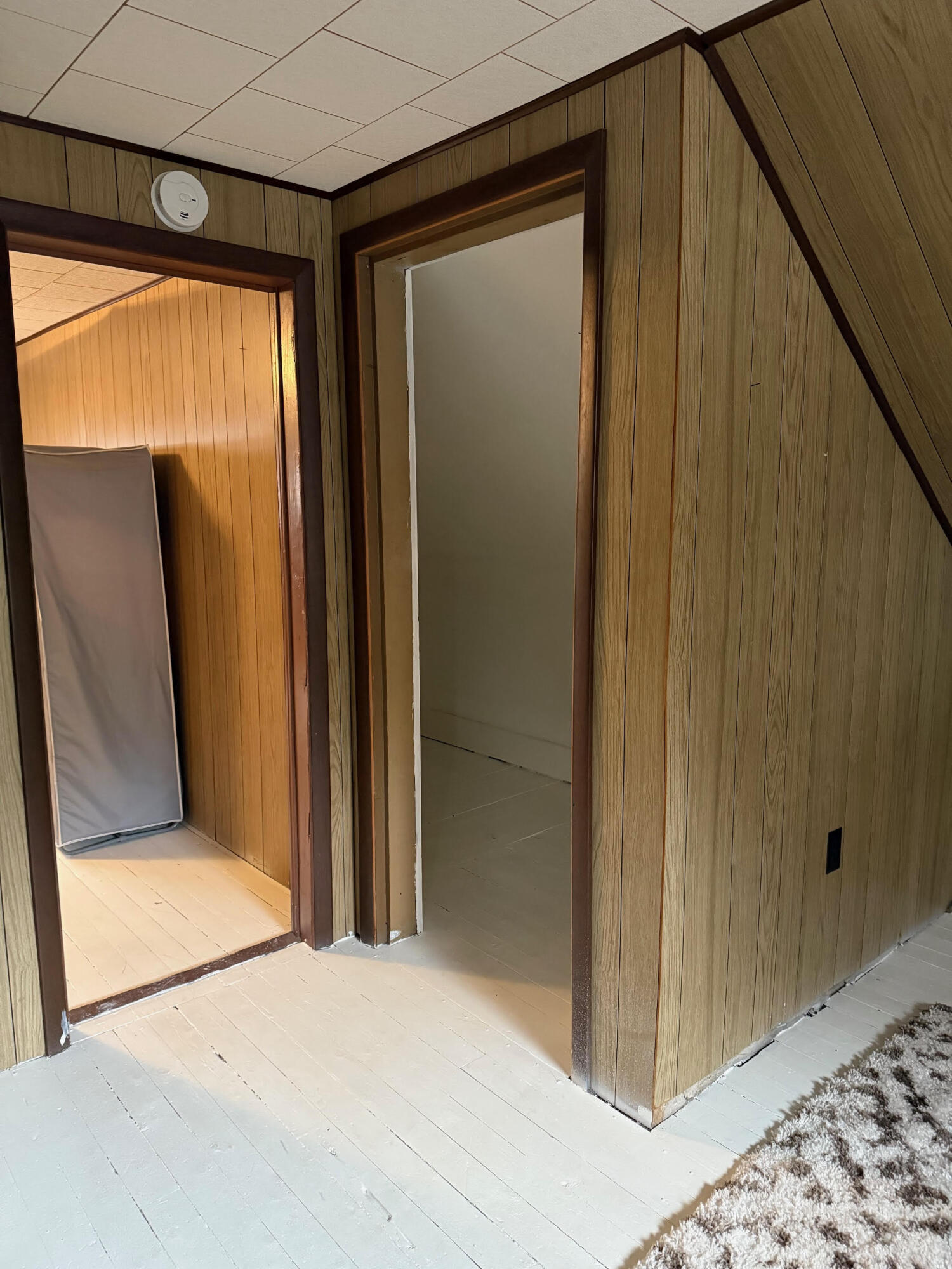 704 Engelman Street Manistee, MI 49660 - Photo 23 of 34 unnamed - 2025-11-21T101404.570