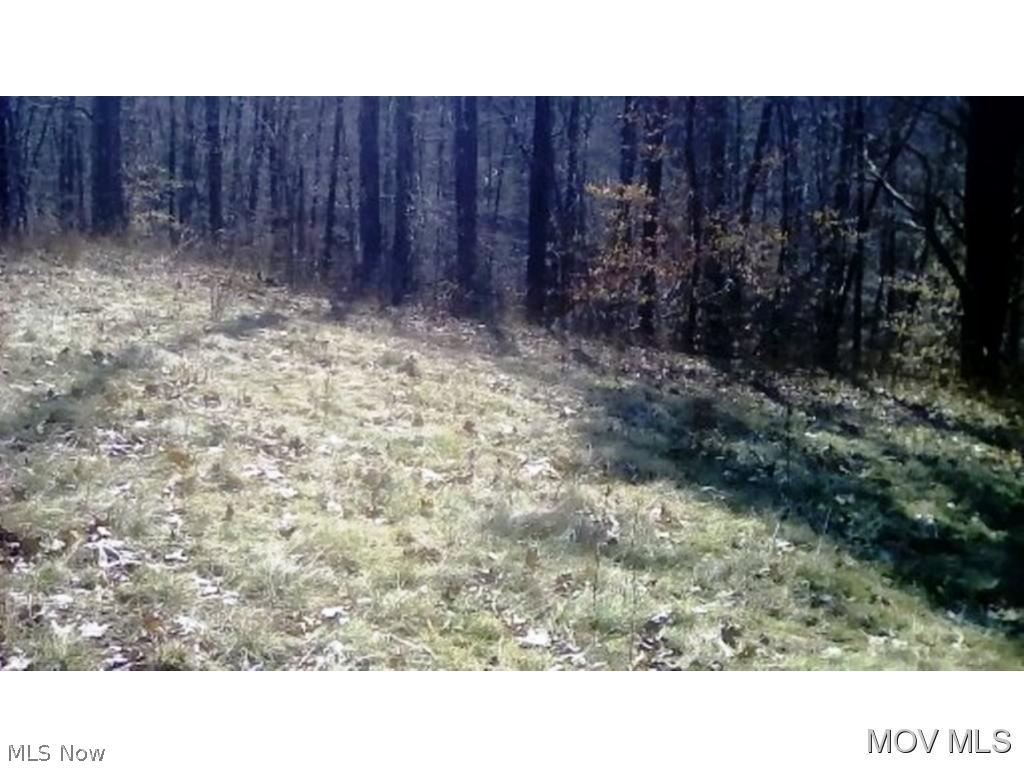 0 Creighton Ridge Road Lower Salem, OH 45745 - Photo 5 of 5
