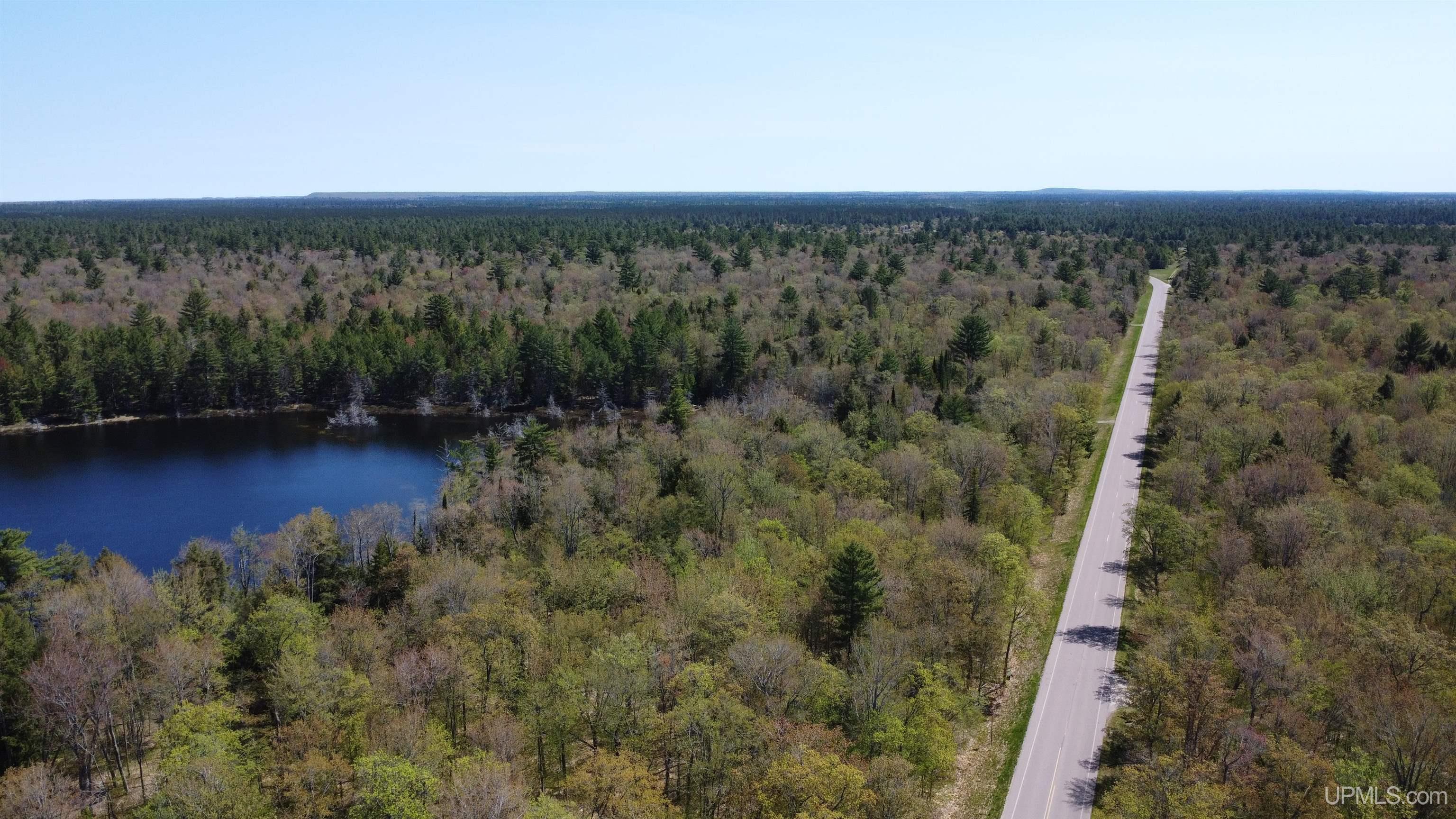 Off Adams Trail Shingleton, MI 49884 - Photo 30 of 46