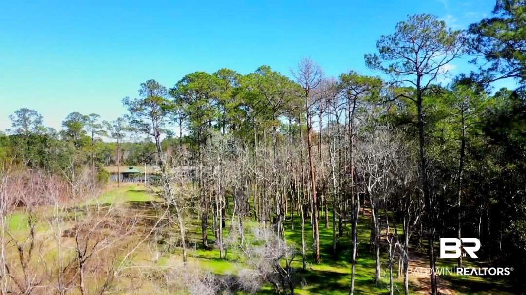 0 Collins Lane Foley, AL 36535 - Photo 10 of 13