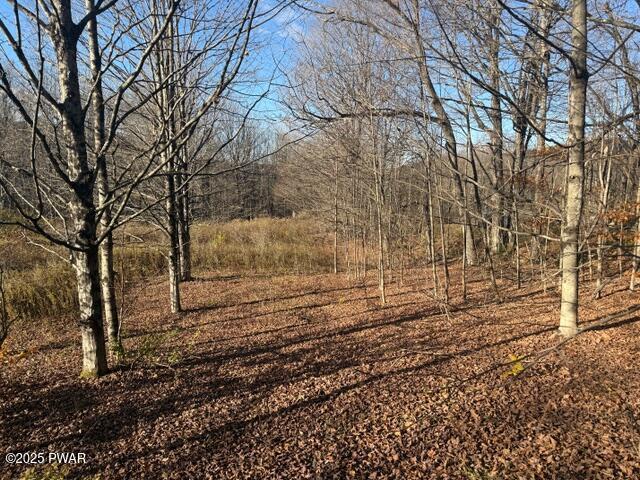Pond Road Susquehanna, PA 18847 - Photo 3 of 9