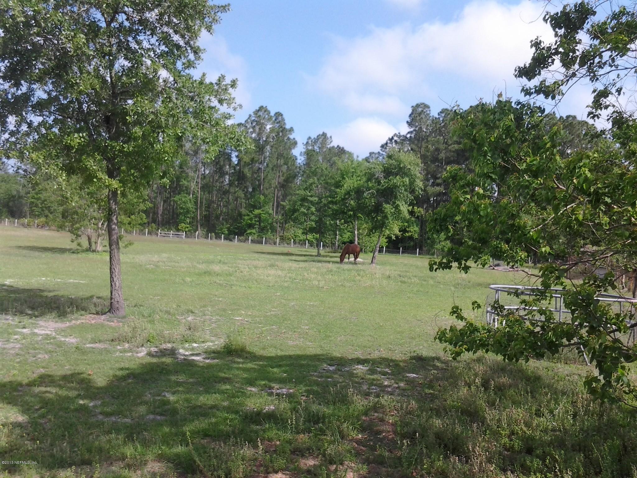 2866 Eagle Point Road Middleburg, FL 32068 - Photo 5 of 6 Pasture 2