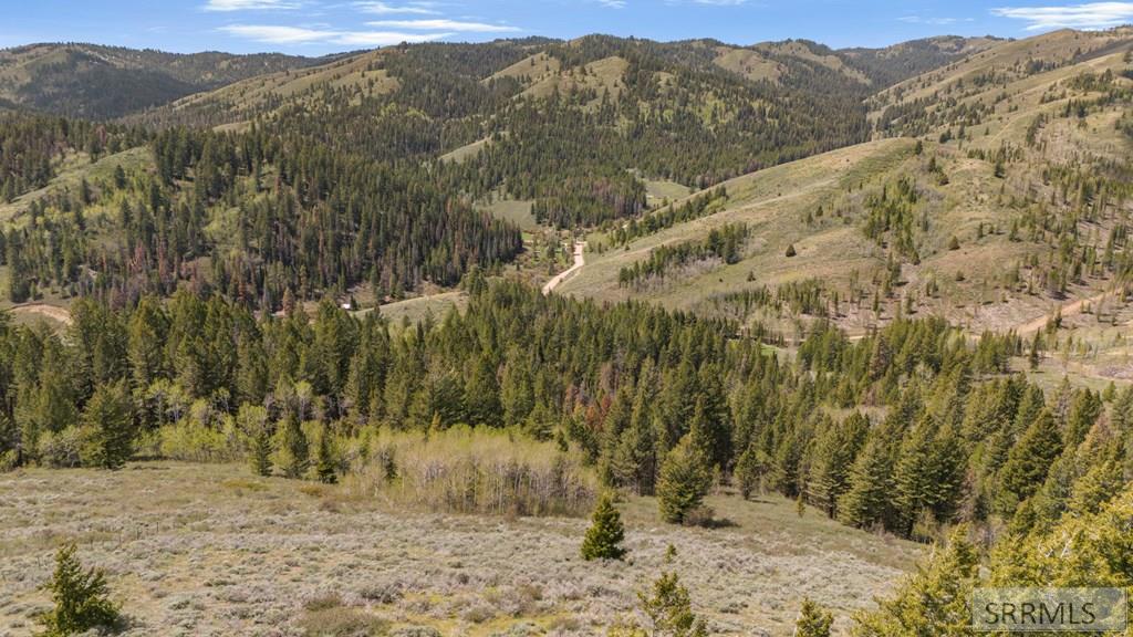Tbd Sellers Creek Road Firth, ID 83236 - Photo 15 of 32 Gallery Image 15