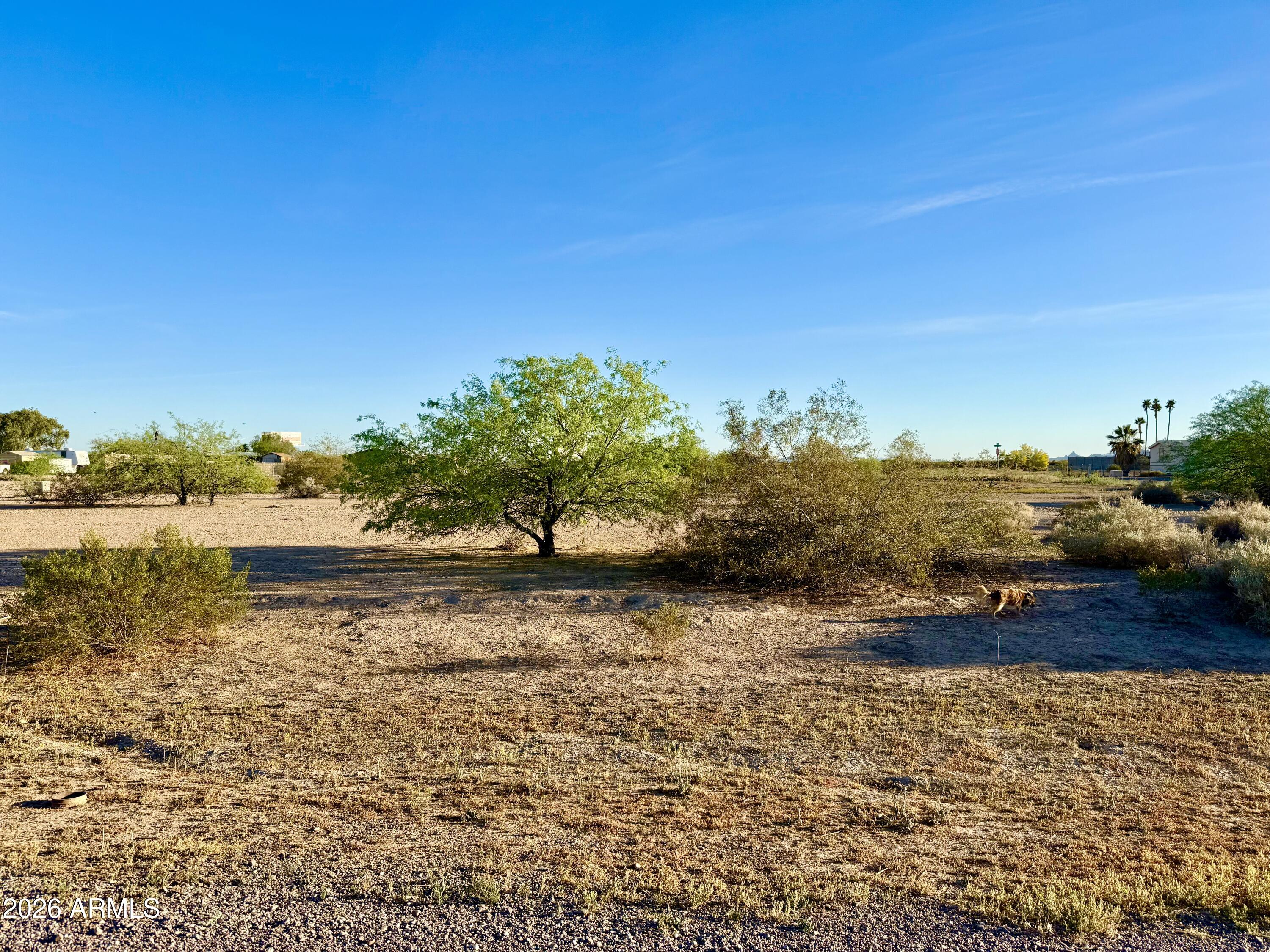 4465 West Tonto Road, Unit 229 Eloy, AZ 85131 - Photo 9 of 19 IMG_5077