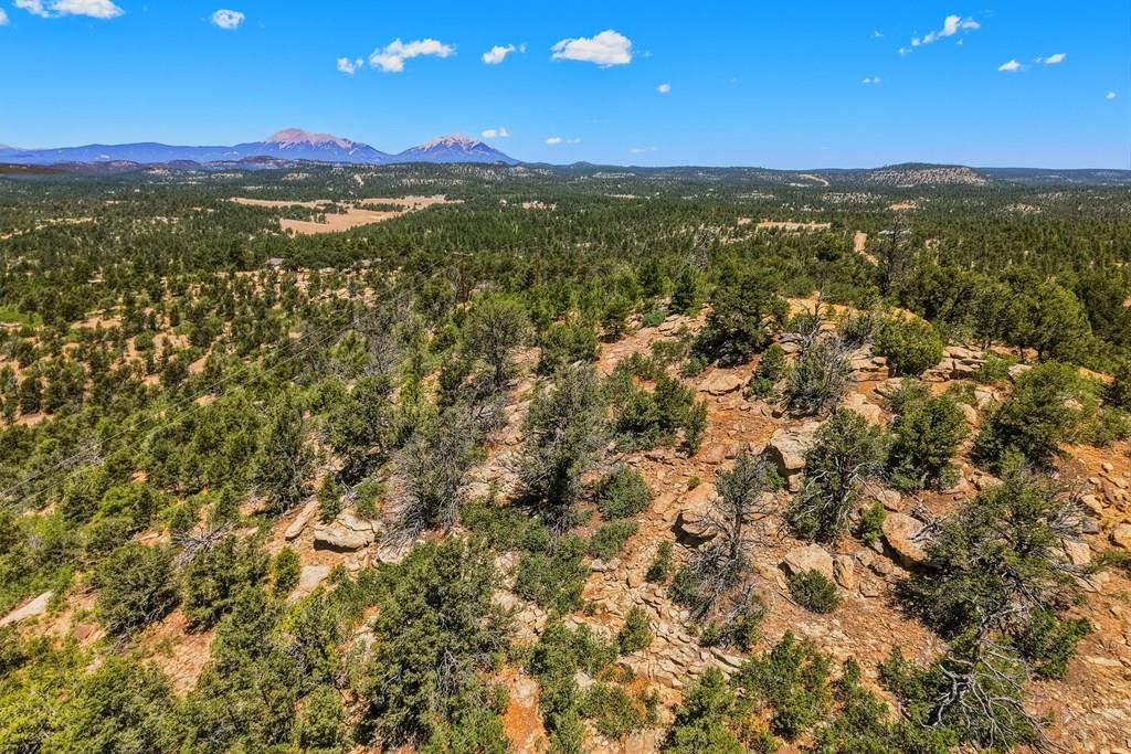 24900 County Road Boncarbo, CO 81024 - Photo 45 of 52