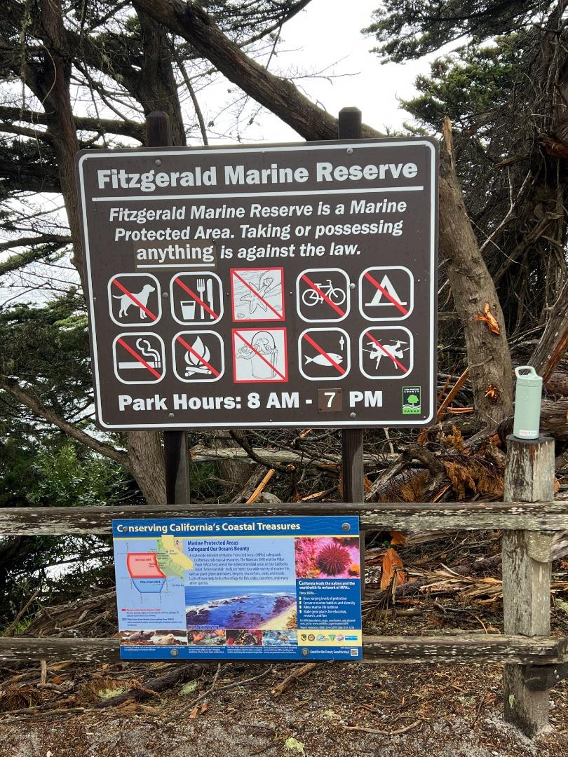 855 San Ramon Avenue Moss Beach, CA 94038 - Photo 58 of 63