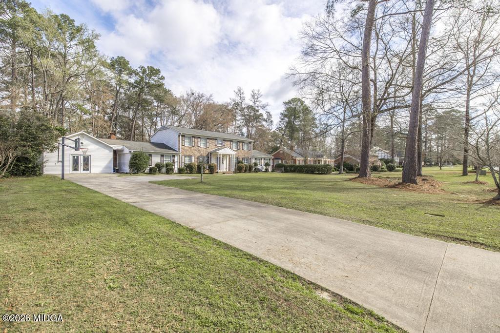 a view of a park with large trees