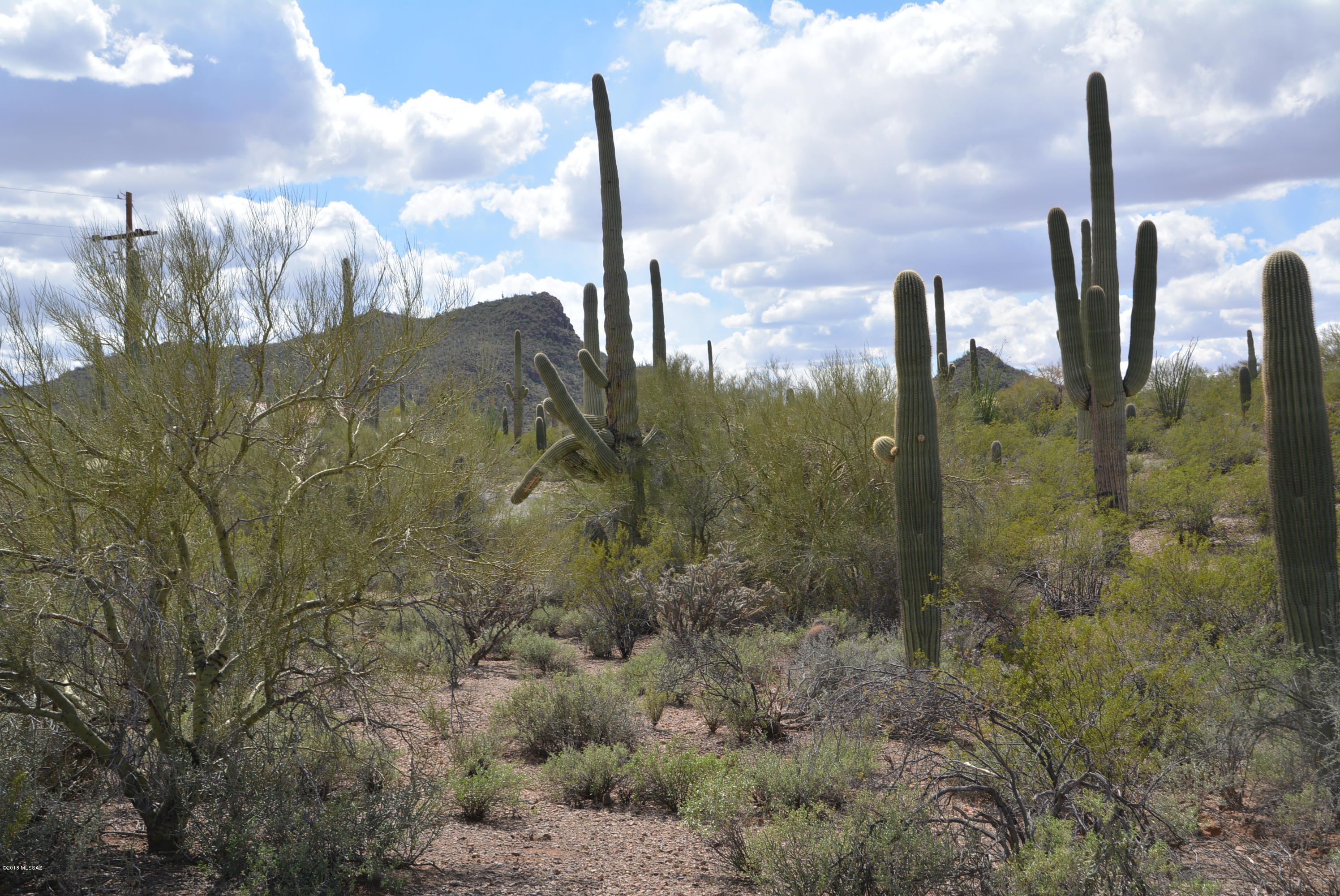 6801 North Wade Road Tucson, AZ 85743 - Photo 33 of 33 Gallery Image 33