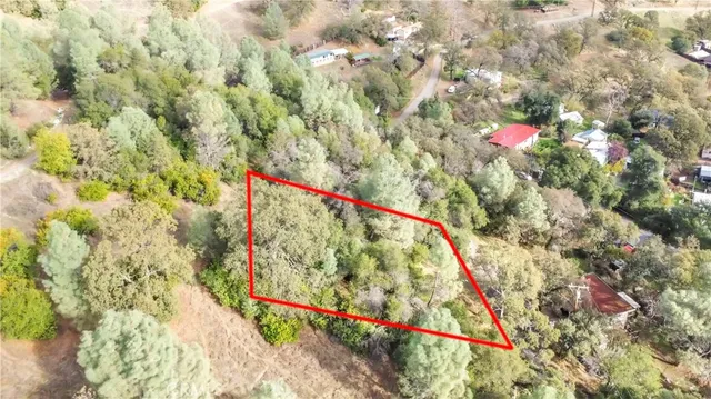 a view of a fire pit with large trees