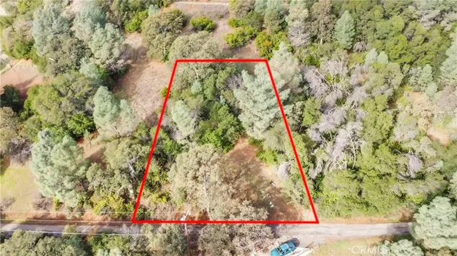 a view of a yard with a trees