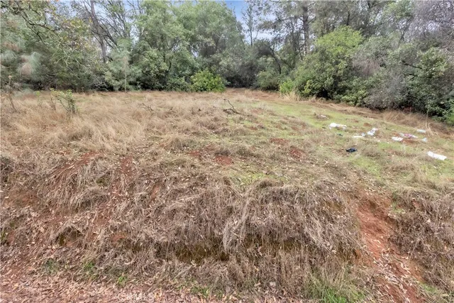 a view of a yard with a tree