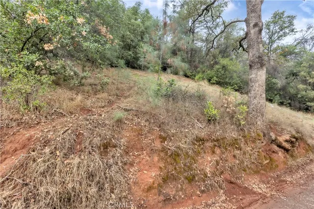 a view of city and mountain