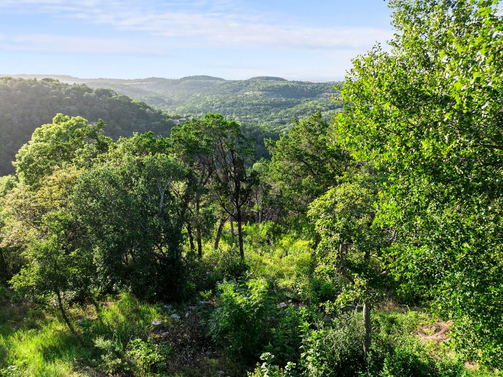 1104 Kennan Road West Lake Hills, TX 78746 - Photo 19 of 20 a view of a lush green forest with trees in the background