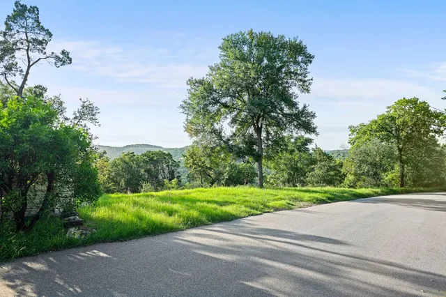 a backyard of a house with plants and large trees