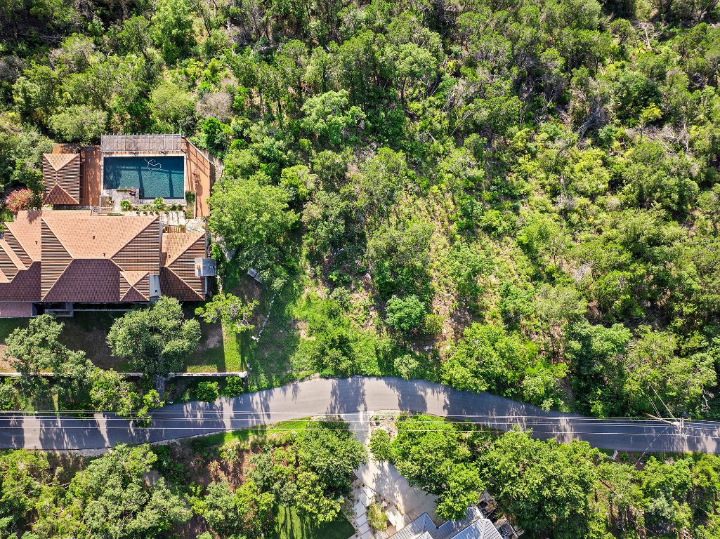 1104 Kennan Road West Lake Hills, TX 78746 - Photo 9 of 20 a view of a garden with plants and large trees
