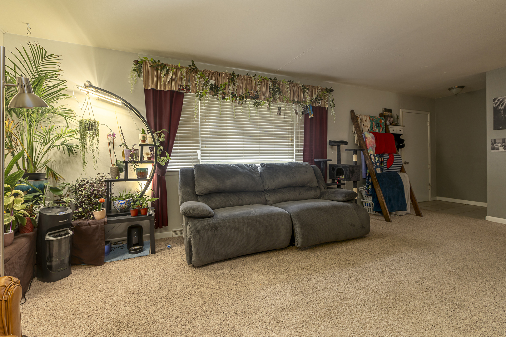 804 South Valley Road Carbondale, IL 62901 - Photo 5 of 30