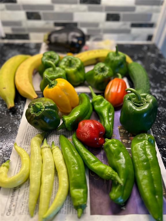 11146 Clearstream Lane Frisco, TX 75035 - Photo 24 of 28