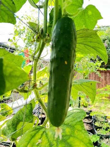 a view of swimming pool with outdoor seating