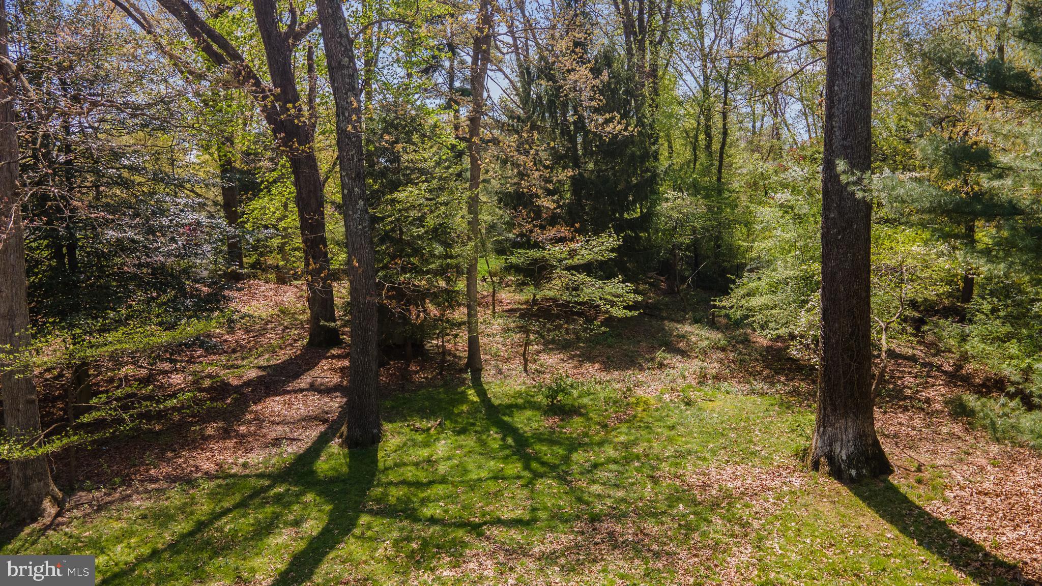 706 Stonington Road Silver Spring, MD 20902 - Photo 12 of 13