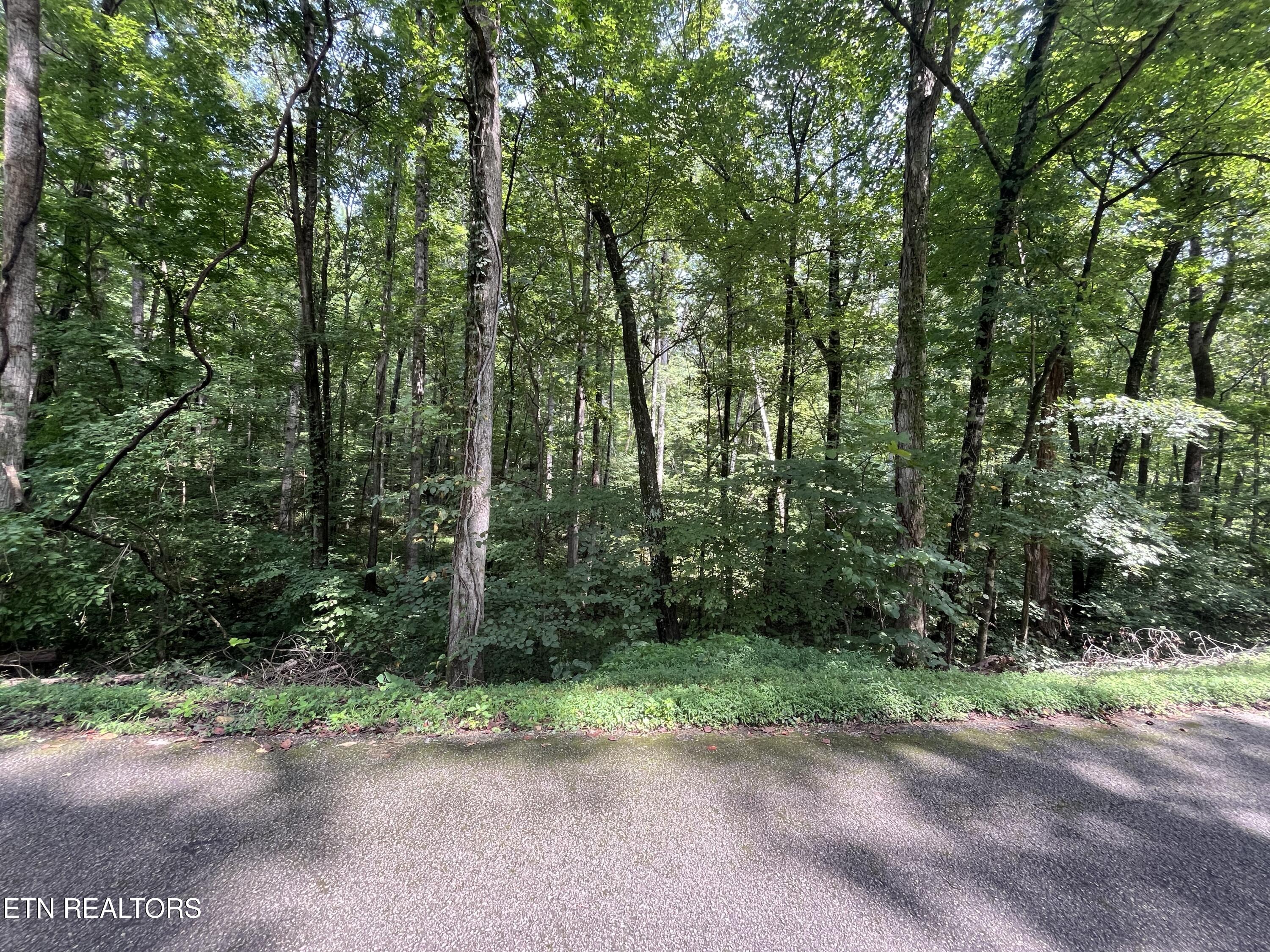 Powder House Road Powell, TN 37849 - Photo 1 of 10 ph3