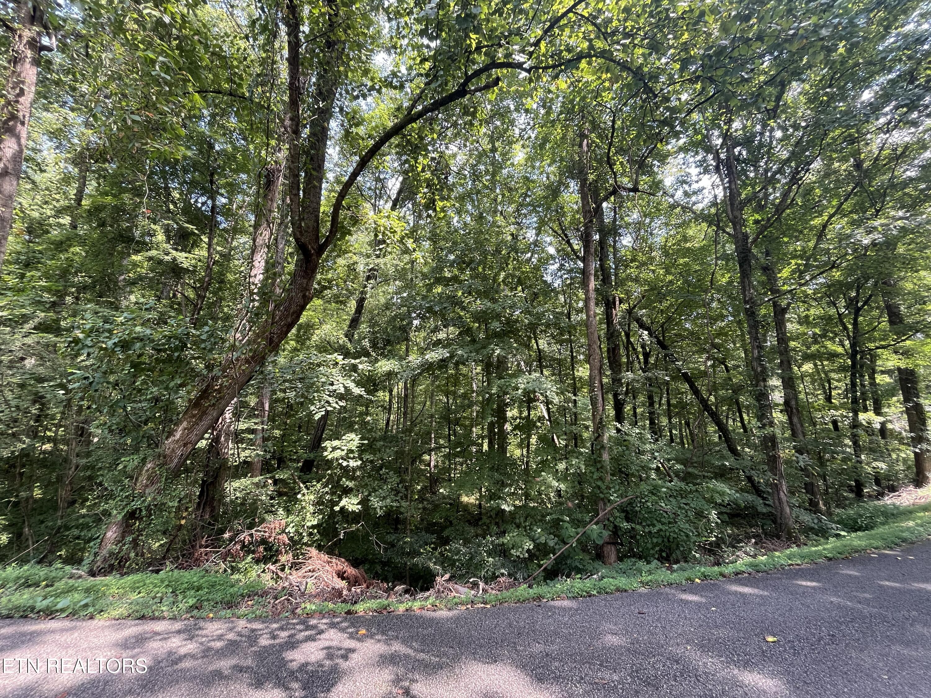 Powder House Road Powell, TN 37849 - Photo 2 of 10 ph1