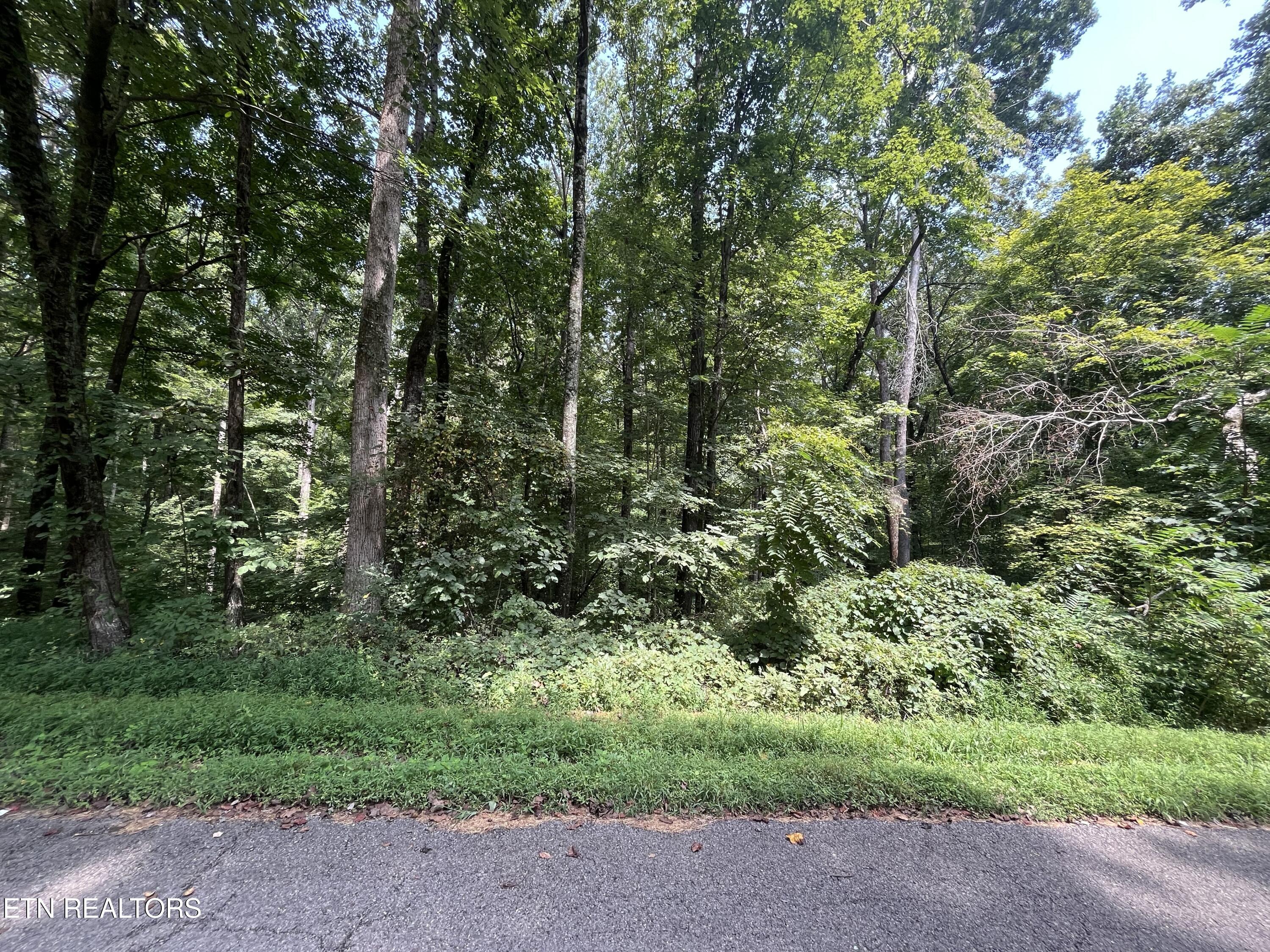 Powder House Road Powell, TN 37849 - Photo 4 of 10 ph6