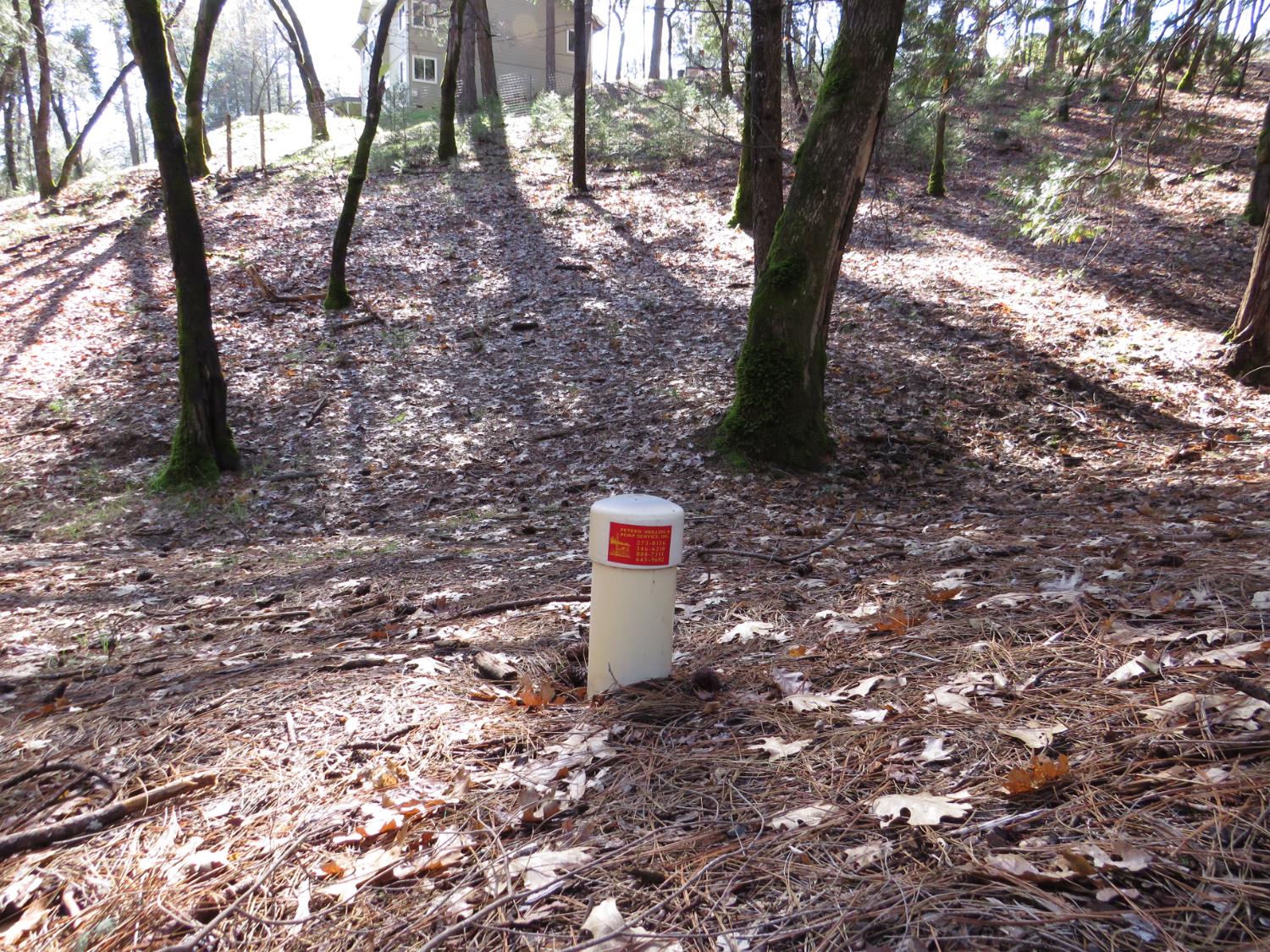 0 Forest Lake Place Colfax, CA 95713 - Photo 11 of 25 40 Gallon Per Minute Well