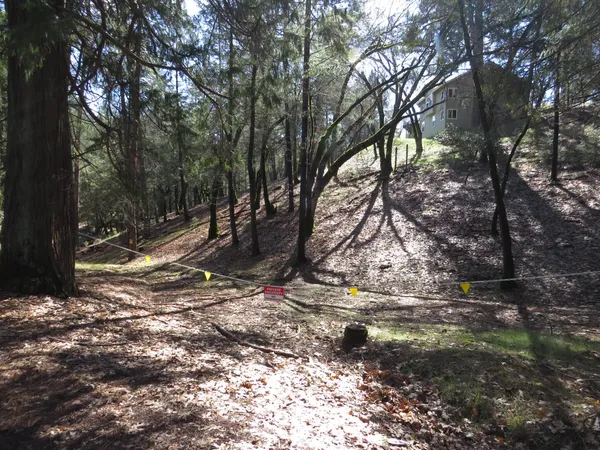 a backyard of a house with lots of green space