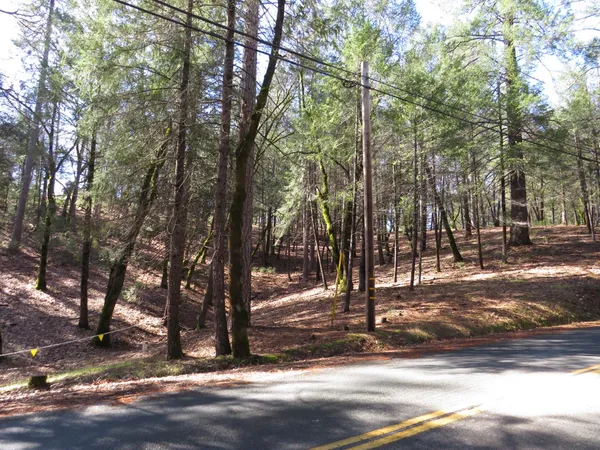 a view of a park with trees
