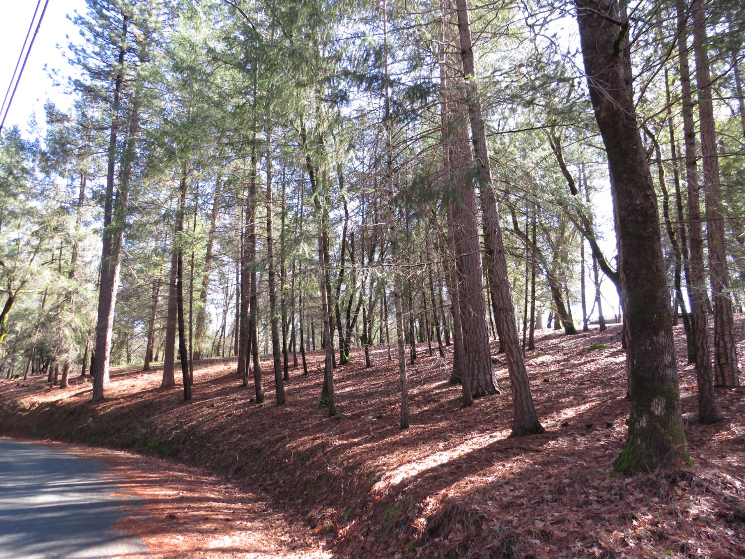 0 Forest Lake Place Colfax, CA 95713 - Photo 15 of 25