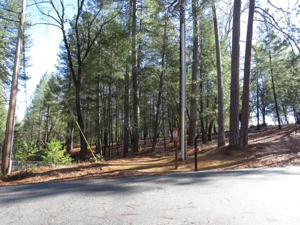 a view of a out door of the house