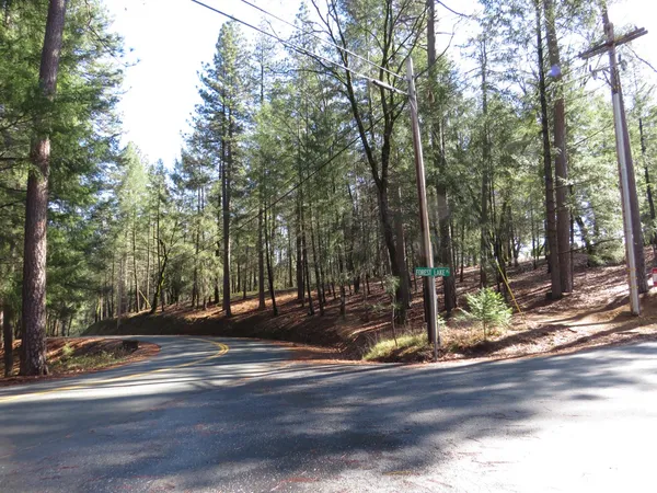 a view of a park with large trees