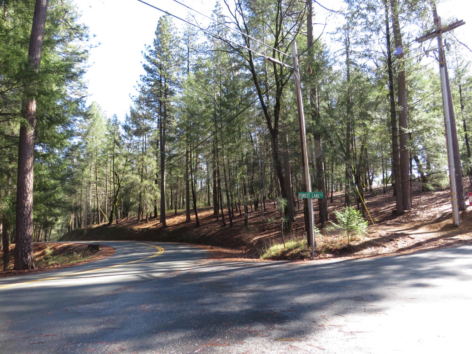 0 Forest Lake Place Colfax, CA 95713 - Photo 17 of 25