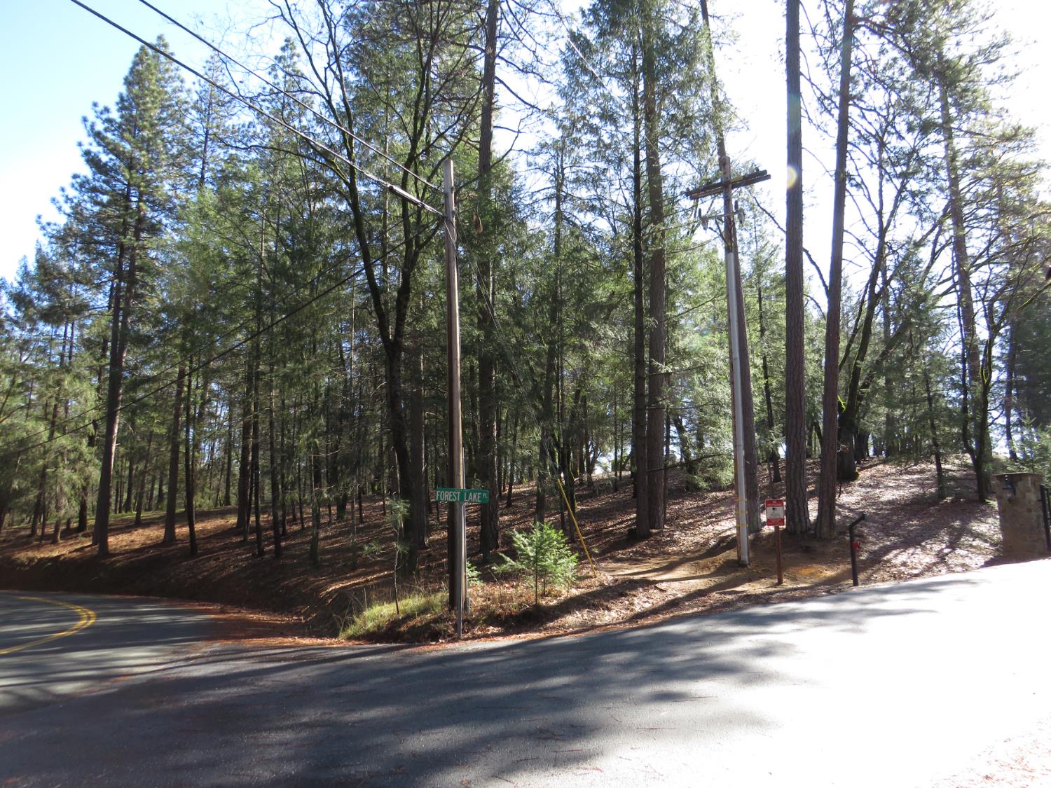 0 Forest Lake Place Colfax, CA 95713 - Photo 19 of 25