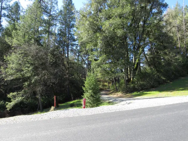 a view of tree next to a house